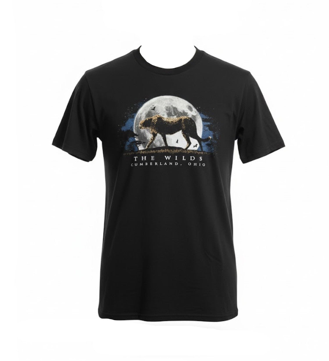 SatelliteV2 Cheetah/Moon