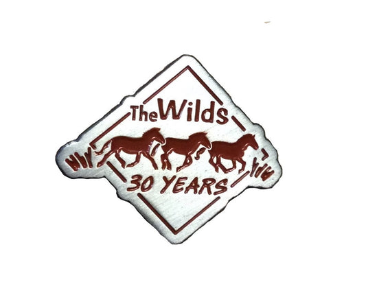 30 YR ANNIVERSARY LAPEL PIN