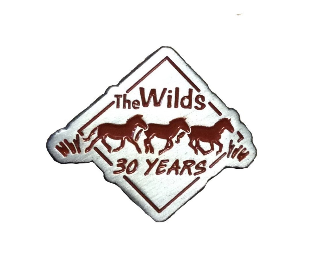 30 YR ANNIVERSARY LAPEL PIN