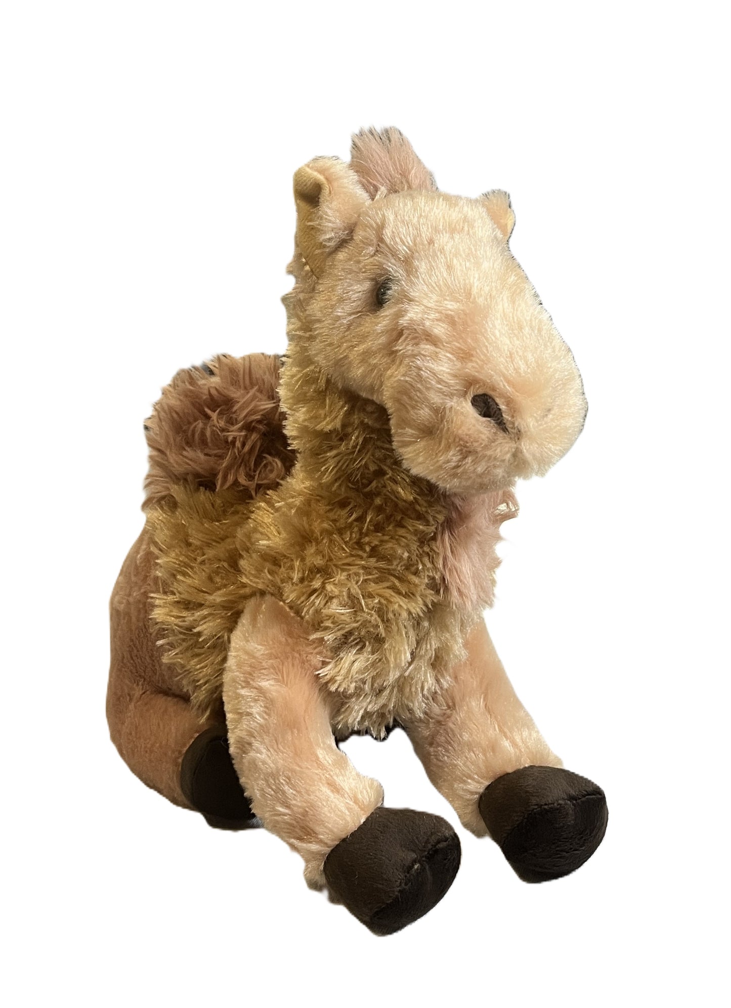 12" Wild Onez Camel