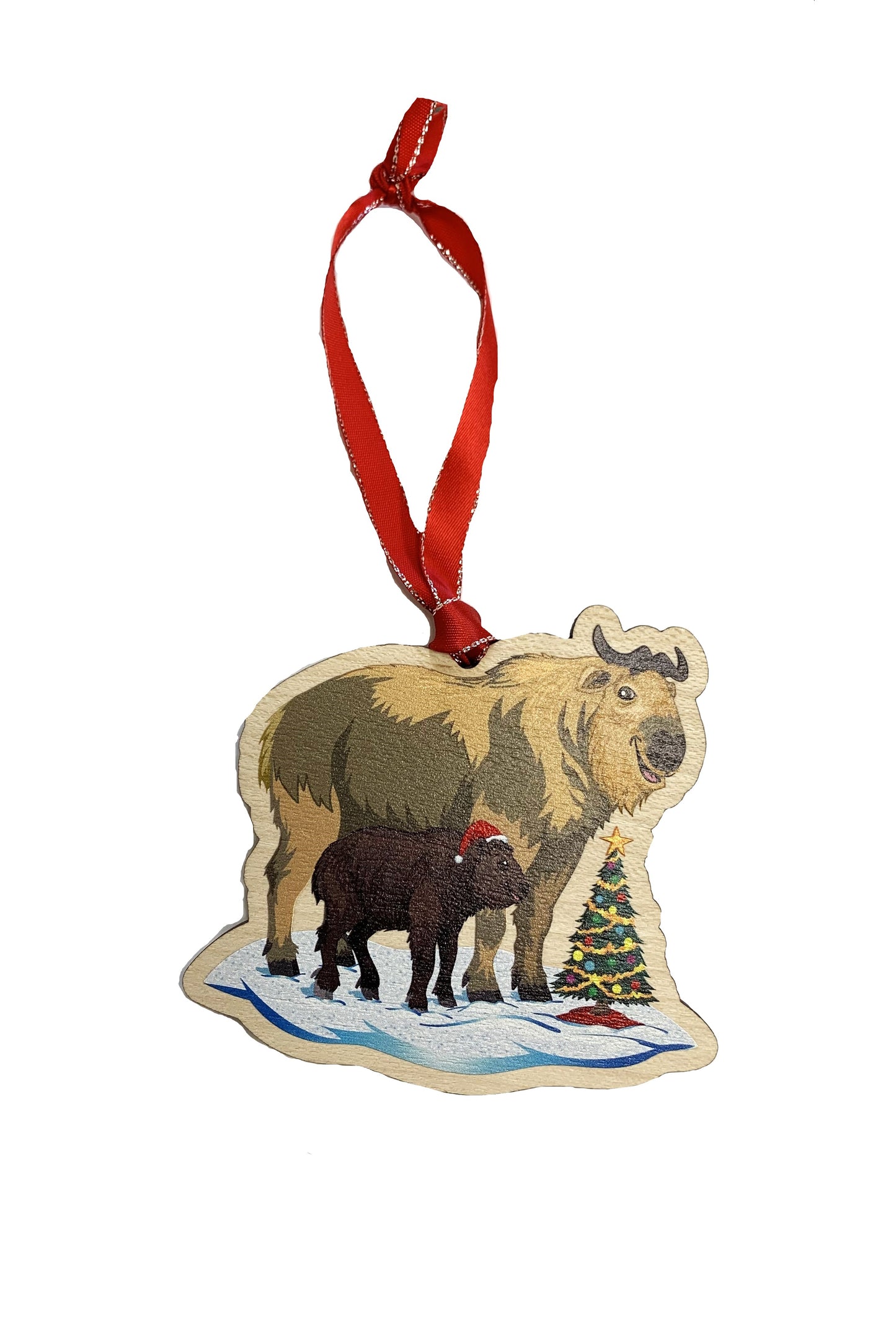 P.N. ORNAMENT TAKIN