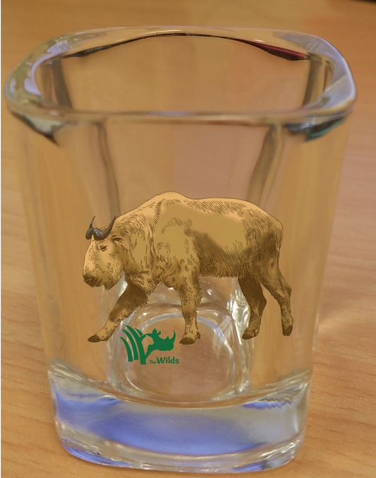 WHATCHA TAKIN BOUT SHOT GLASS