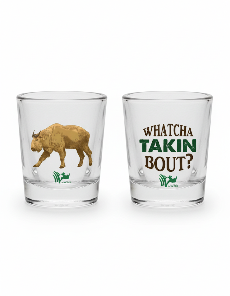 WHATCHA TAKIN BOUT SHOT GLASS